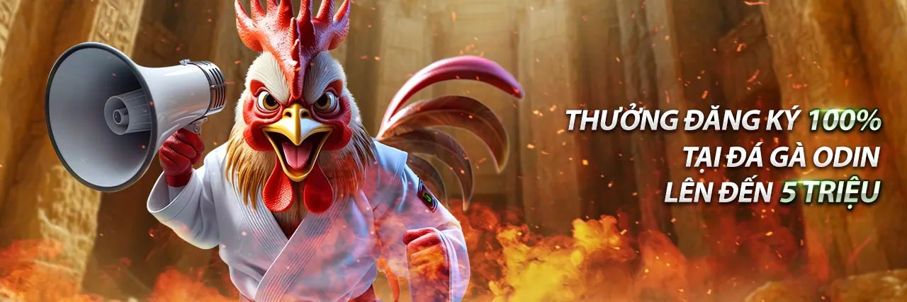 Hình ảnh minh họa trang Câu hỏi thường gặp của nhà cái p3